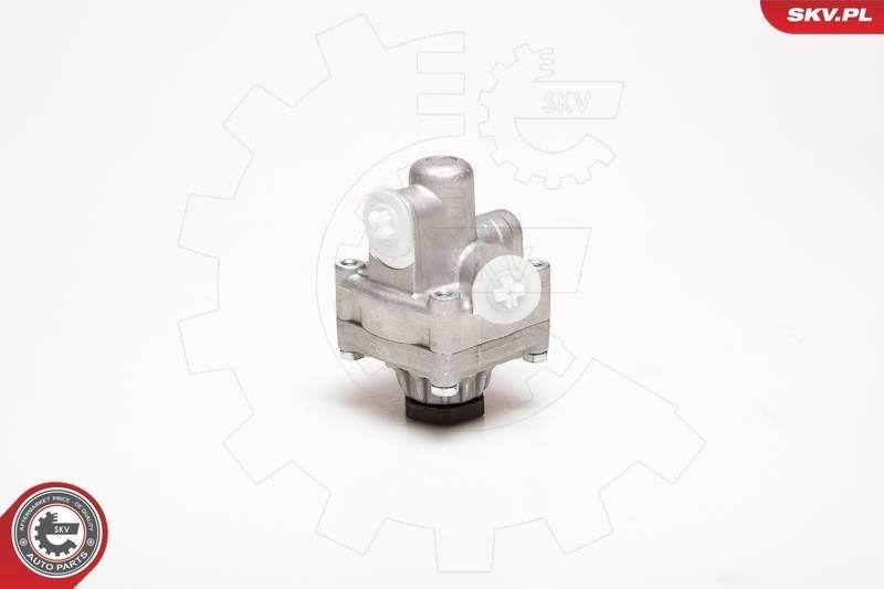 ESEN SKV Hydraulikpumpe, Lenkung