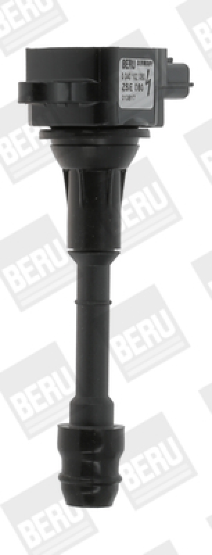 BorgWarner (BERU) Ignition Coil