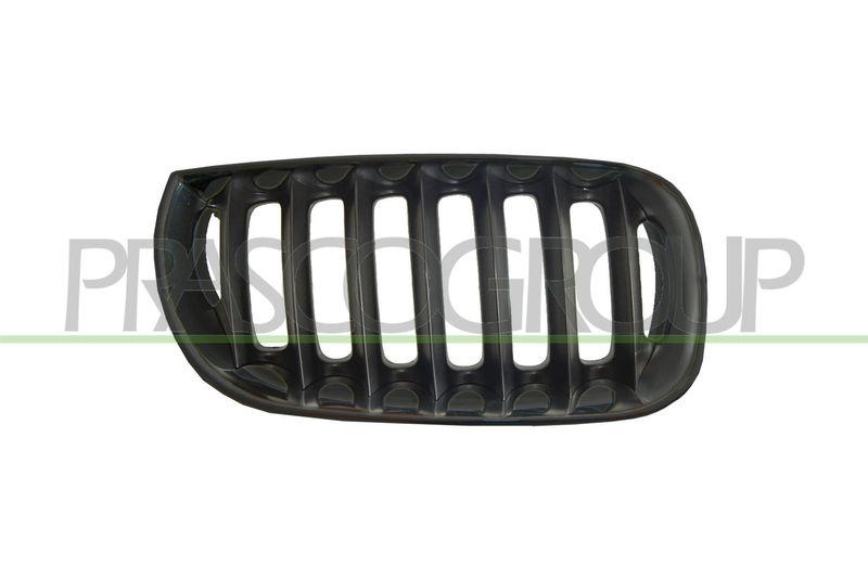 Radiator Grille