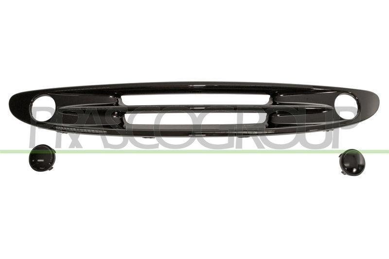 Radiator Grille