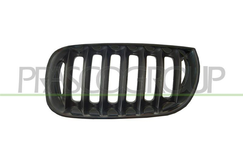 Radiator Grille