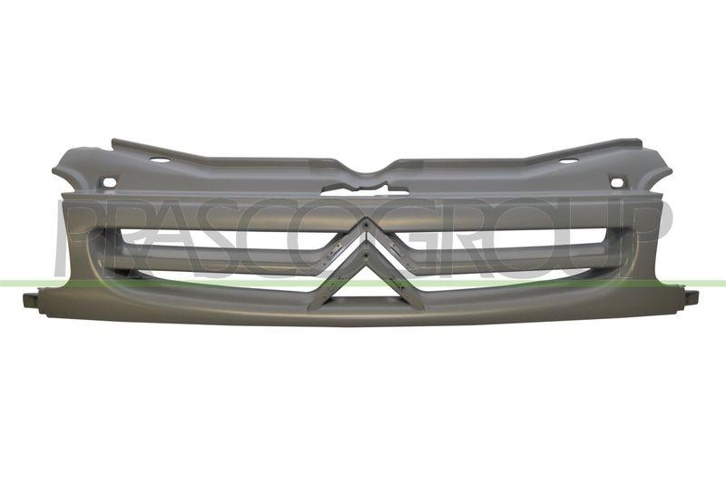 Radiator Grille