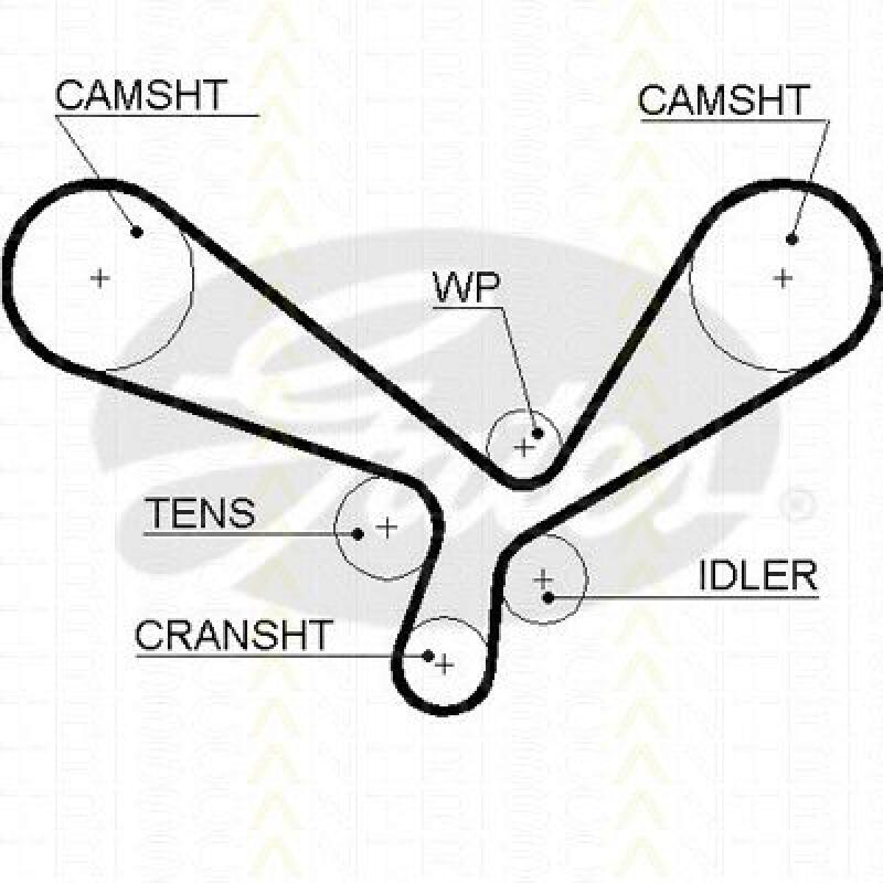 TRISCAN Timing Belt