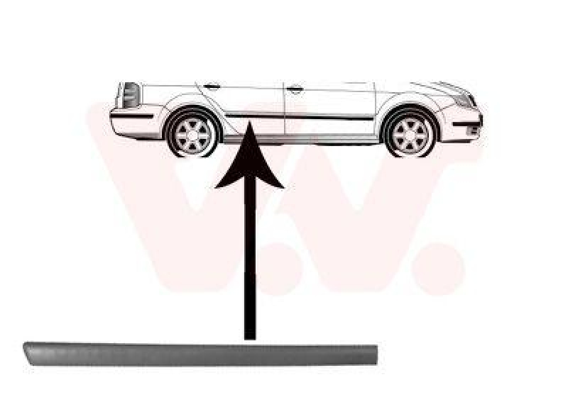 VAN WEZEL Trim/Protective Strip, door