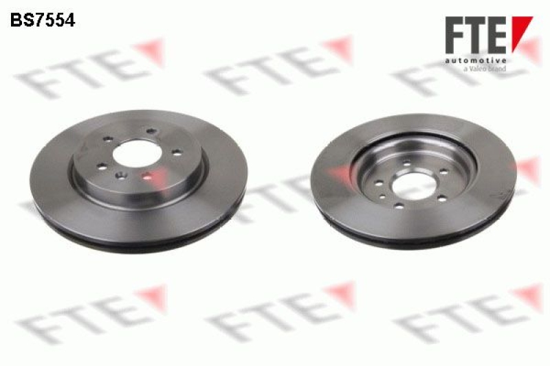 2x FTE Brake Disc