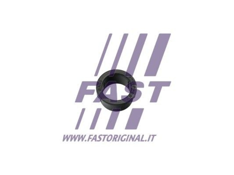 FAST Door Catch