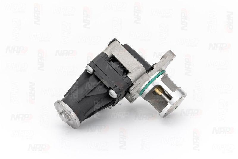 NAP carPARTS AGR-Ventil