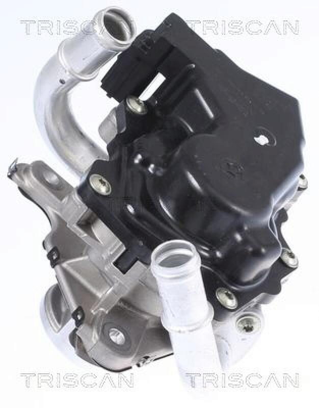 TRISCAN EGR Valve