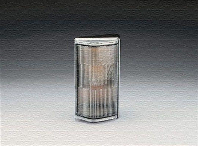 MAGNETI MARELLI Blinkleuchte Blinker 712354211129
