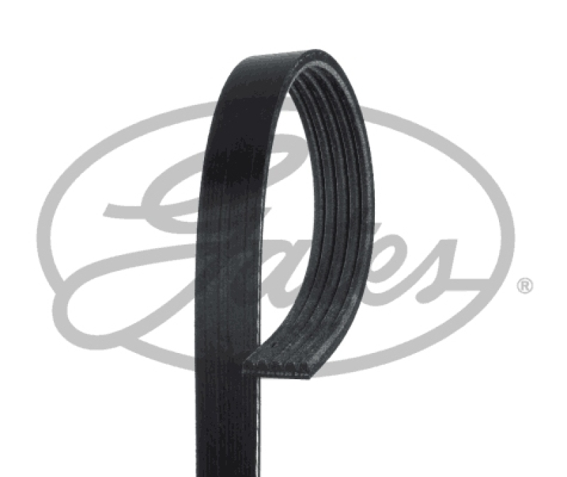 GATES Keilrippenriemen FleetRunner&trade; Micro-V&reg;
