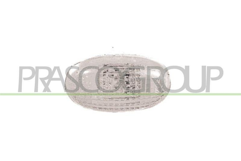 PRASCO Blinkleuchte Blinker DW3204141