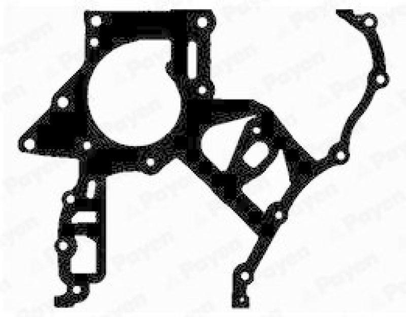 PAYEN Gasket, timing case