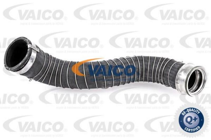 VAICO Charger Air Hose Q+, original equipment manufacturer quality