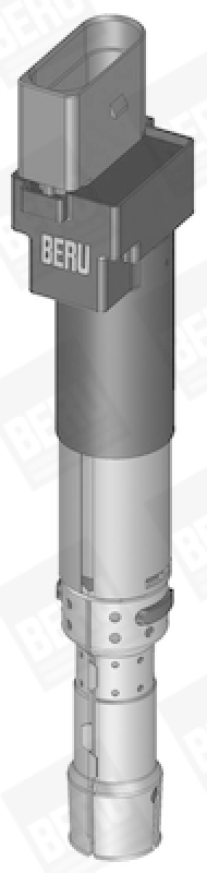 BorgWarner (BERU) Ignition Coil