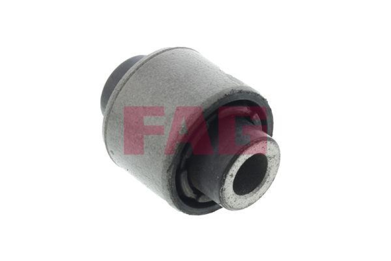Schaeffler FAG Lagerung, Lenker