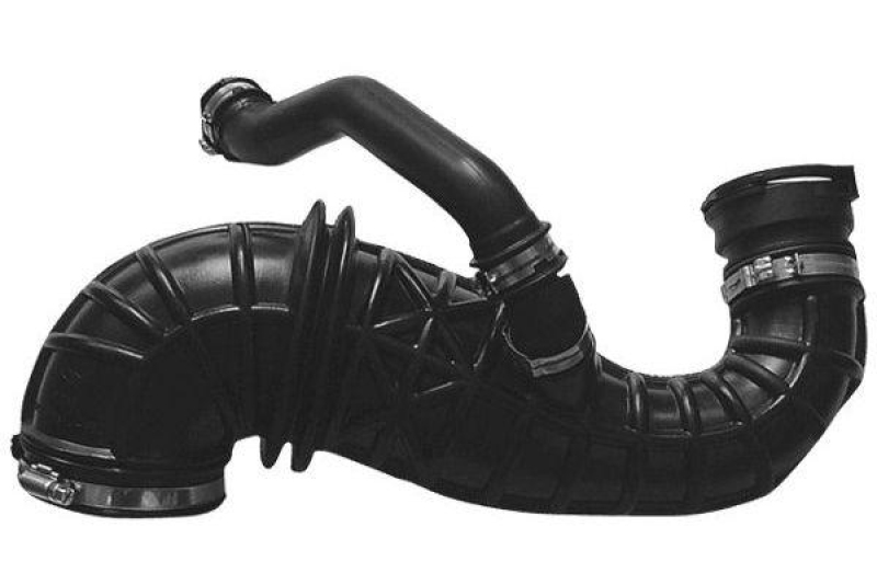 MAPCO Intake Hose, air filter
