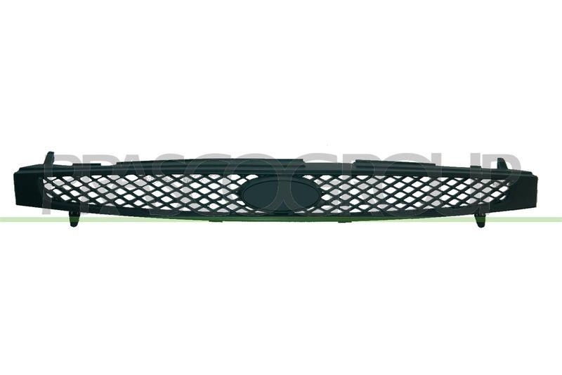 Radiator Grille Premium