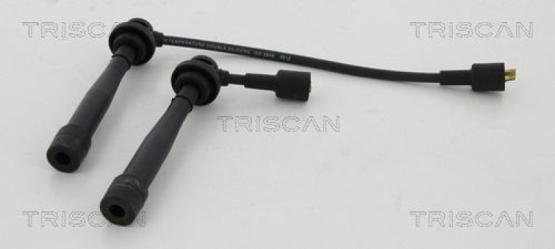 TRISCAN Z&uuml;ndleitungssatz 8860 69010