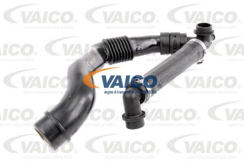 VAICO Hose, cylinder head cover breather Original VAICO Quality