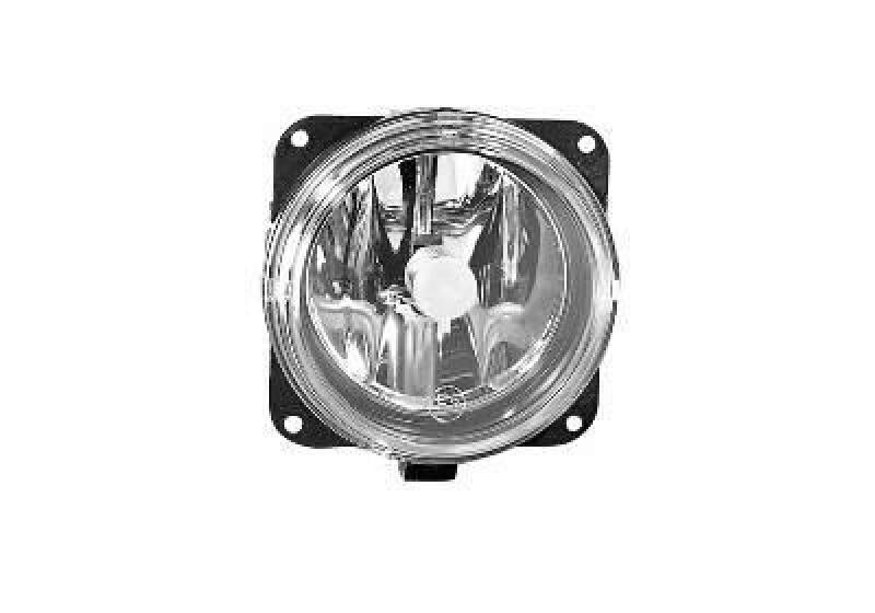 VAN WEZEL Fog Light
