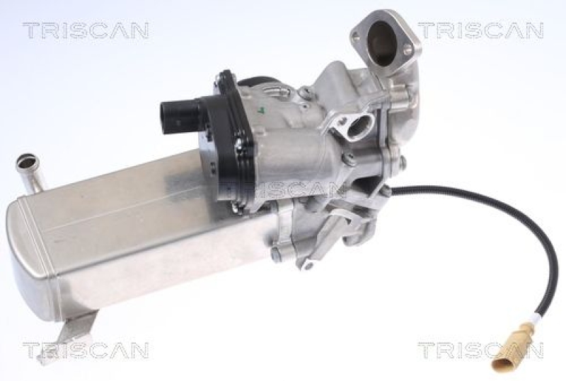 TRISCAN EGR Valve