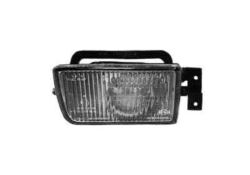 VAN WEZEL Fog Light