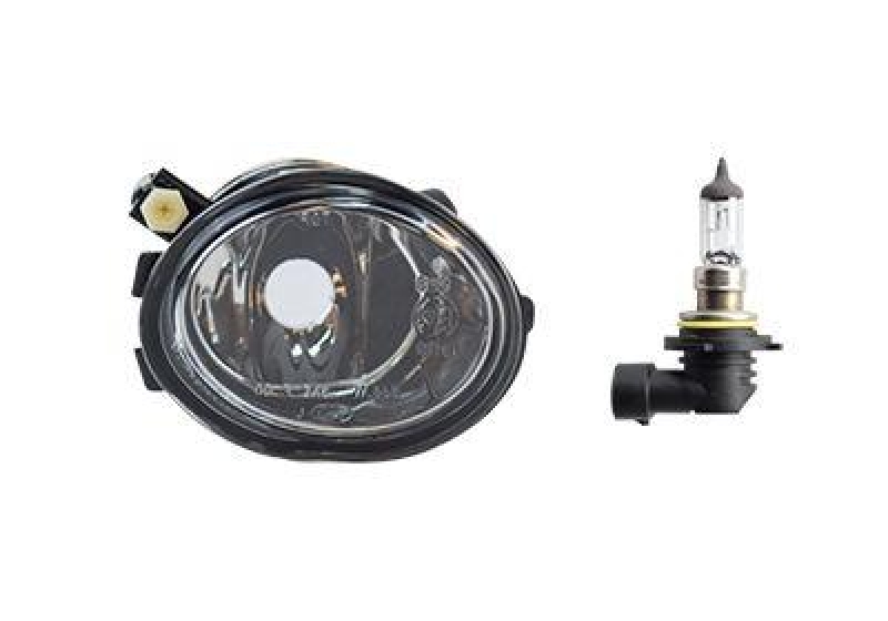 VAN WEZEL Fog Light