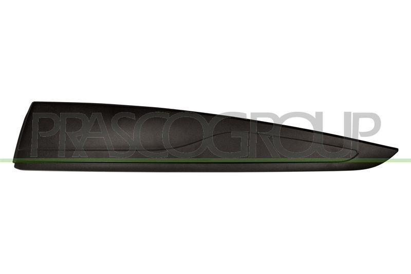 Trim/Protective Strip, door