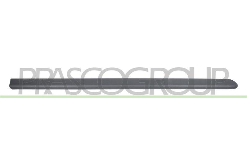 Trim/Protective Strip, door