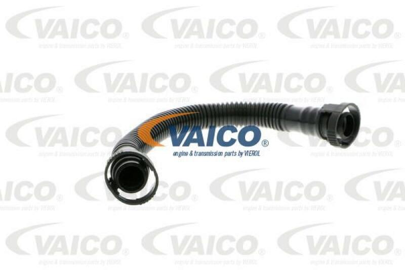 VAICO Hose, crankcase breather Original VAICO Quality