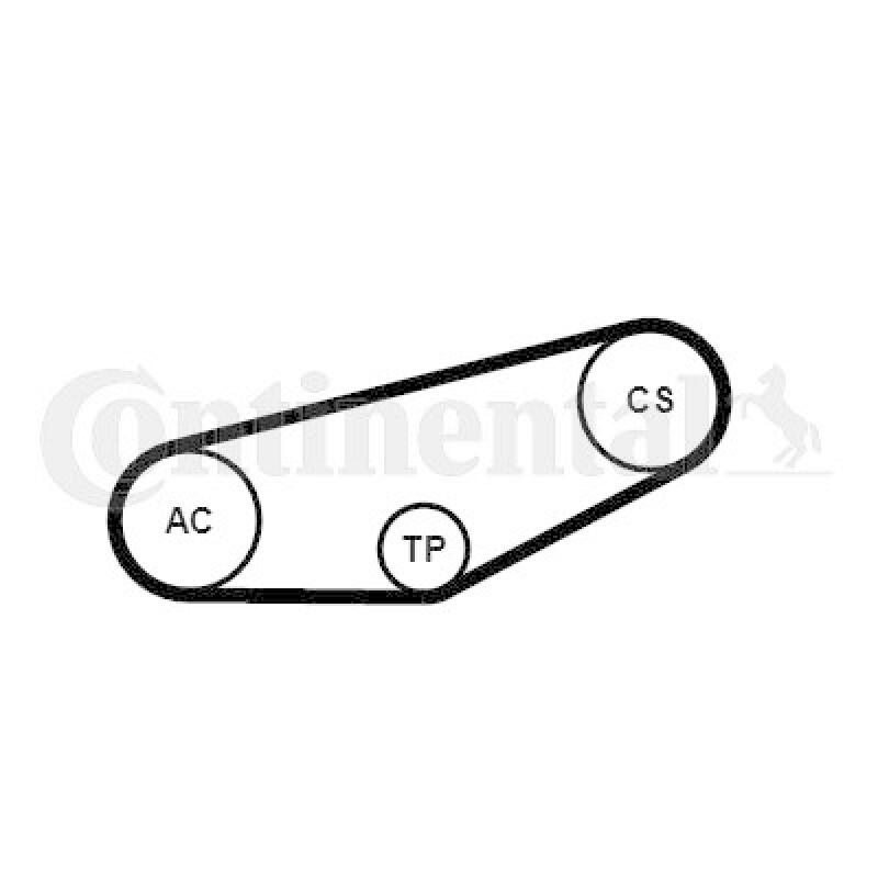 CONTINENTAL CTAM Keilrippenriemensatz