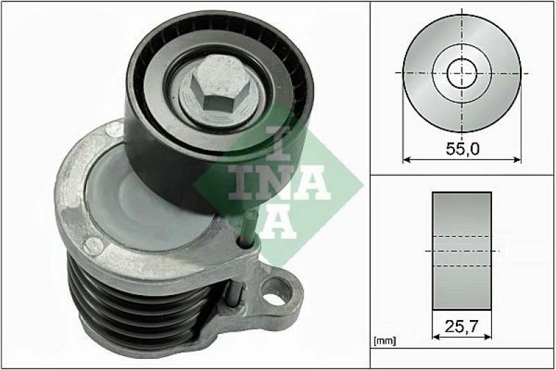 INA Tensioner Lever, v-ribbed belt