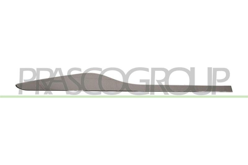 Trim/Protective Strip, door