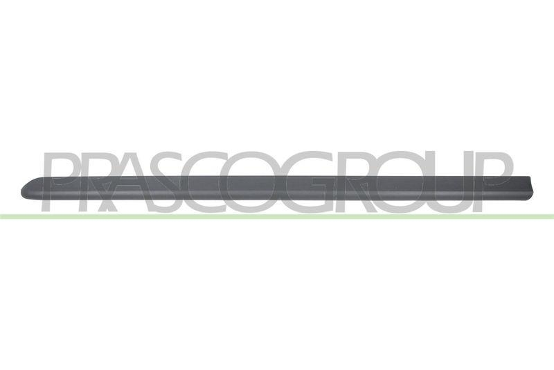Trim/Protective Strip, door