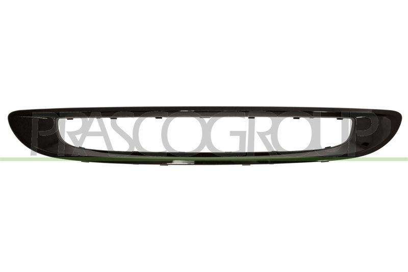 Frame, radiator grille