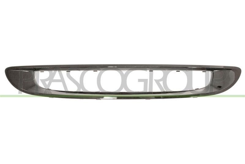 Frame, radiator grille