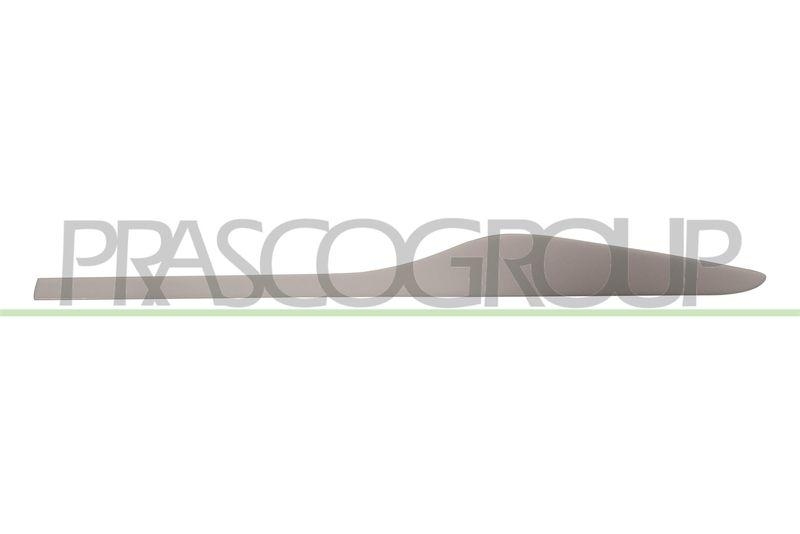 PRASCO Zier-/Schutzleiste, Tür