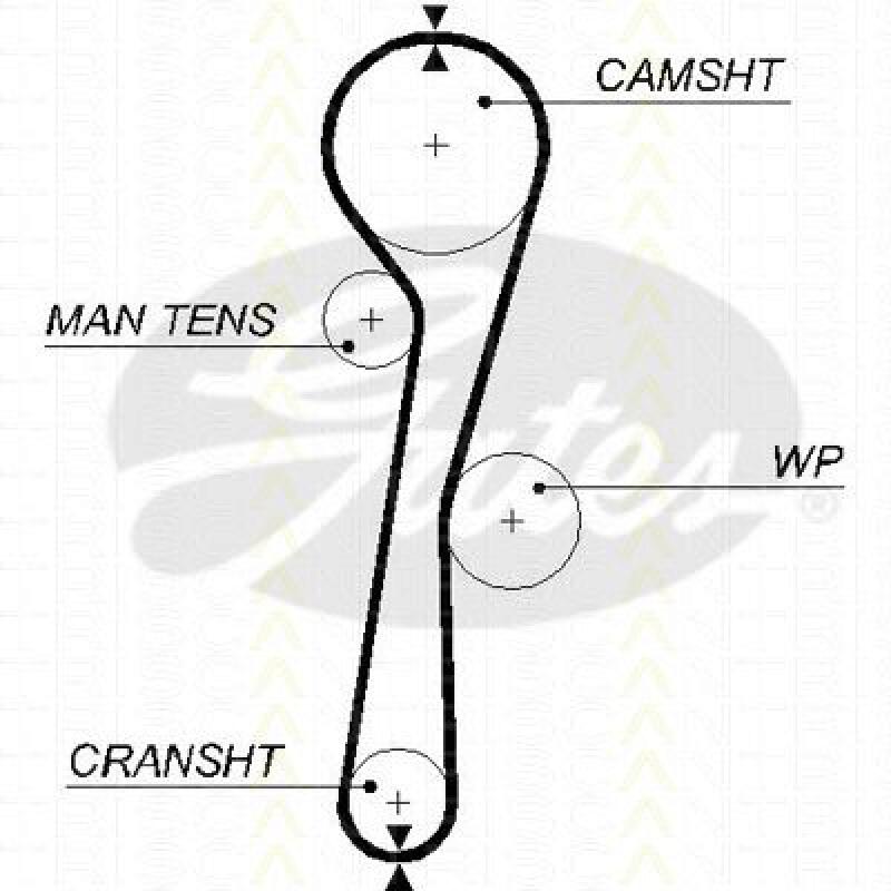 TRISCAN Timing Belt