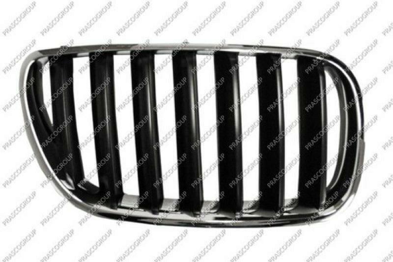 Radiator Grille