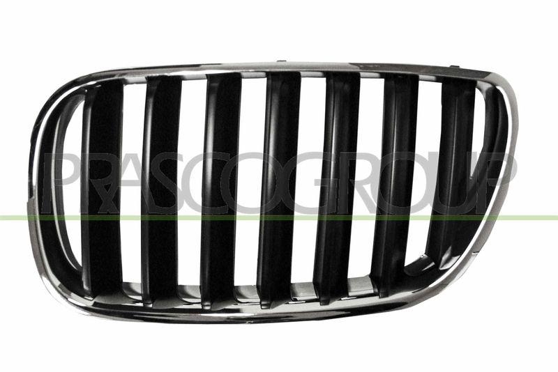 Radiator Grille