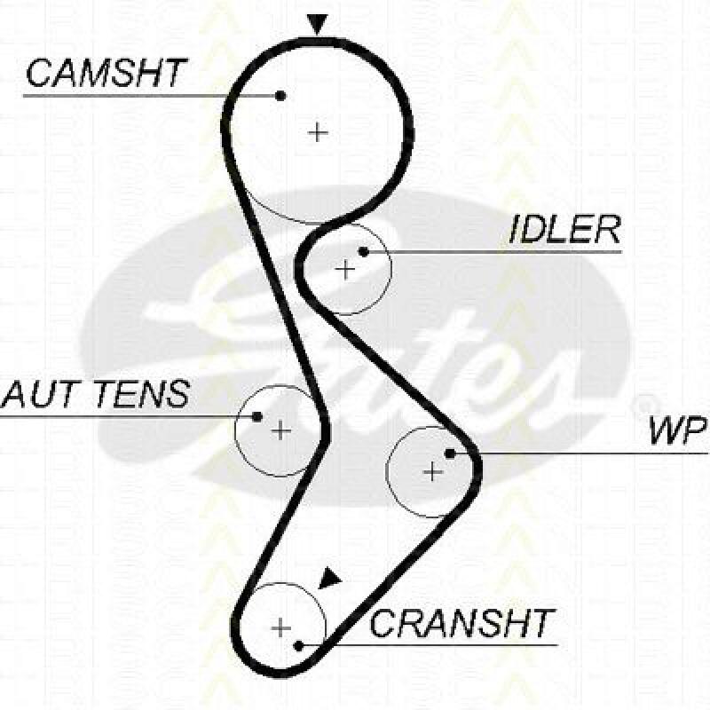 TRISCAN Zahnriemen 8645 5579XS