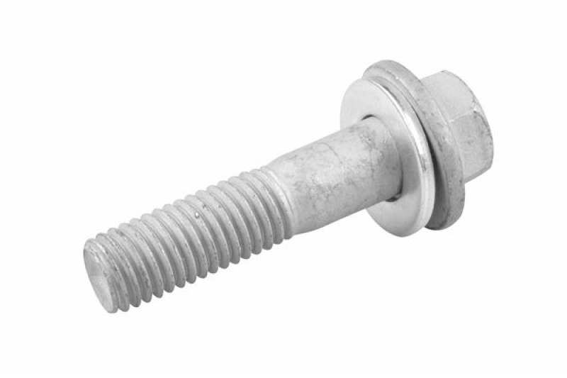 TEDGUM Screw