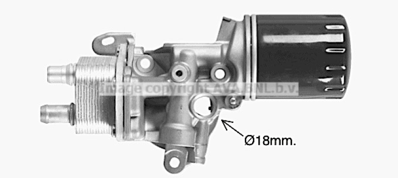 AVA QUALITY COOLING Ölkühler, Motoröl