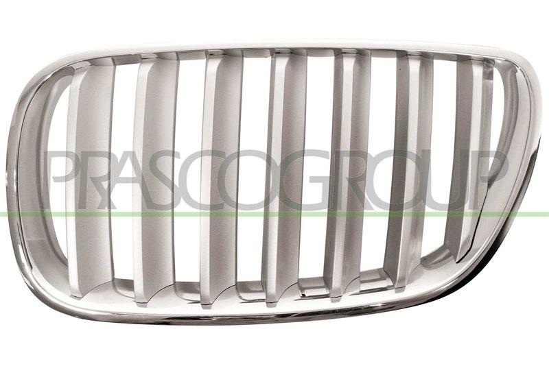 Radiator Grille