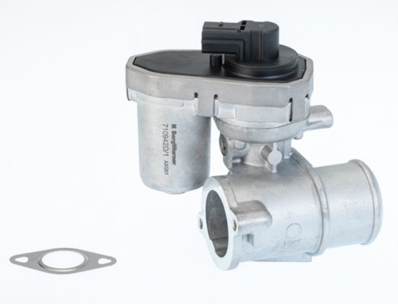 BorgWarner (Wahler) AGR-Ventil