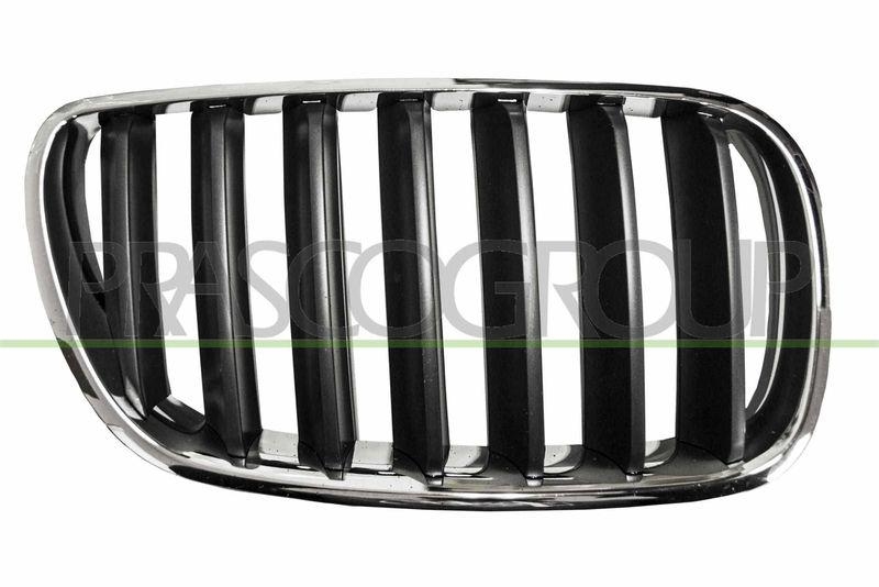Radiator Grille