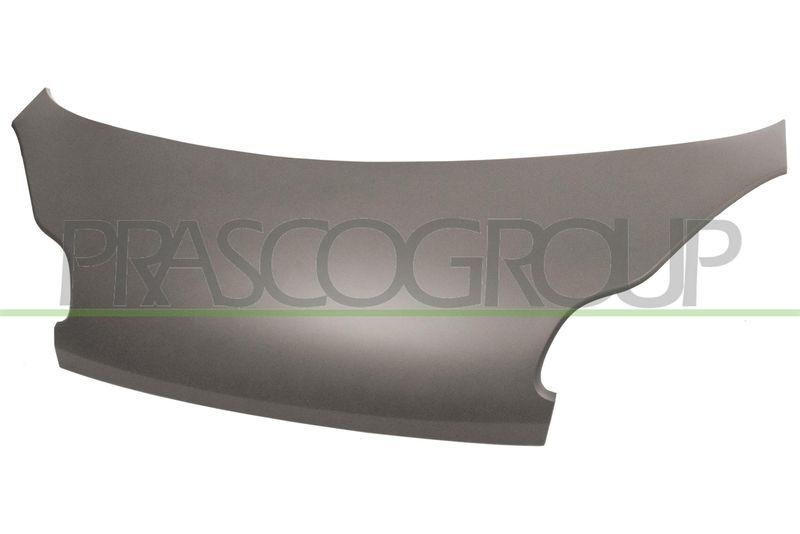 PRASCO Motorhaube