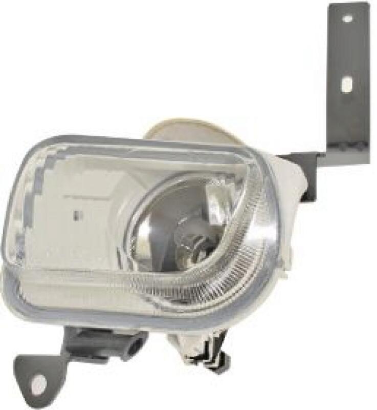 VAN WEZEL Fog Light