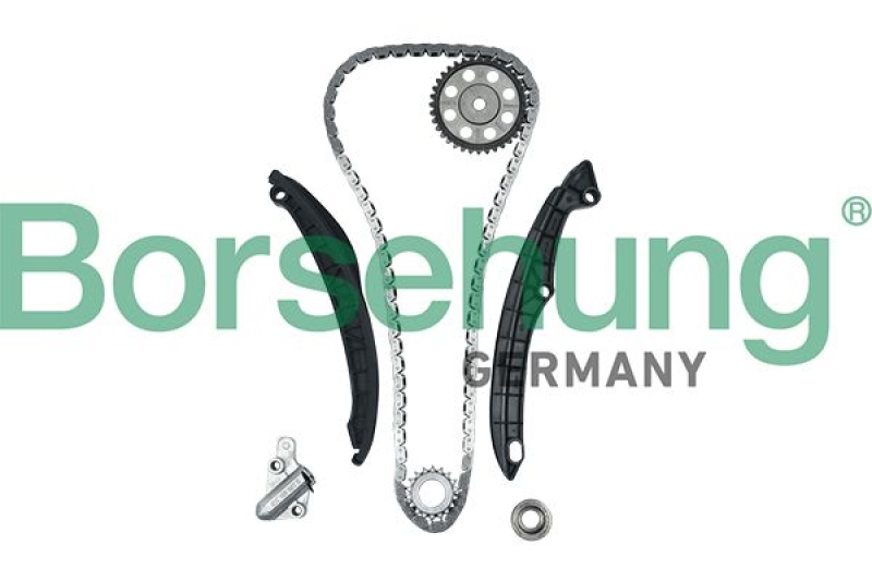 Borsehung Timing Chain Kit