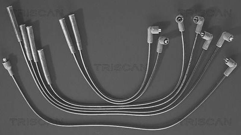 TRISCAN Z&uuml;ndleitungssatz 8860 7125